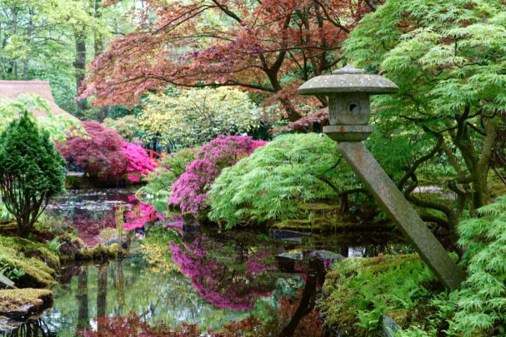 Shoyoen Japanese Garden