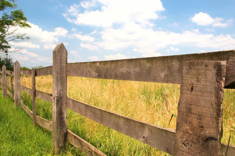 All You Need To Know About Farm Fences