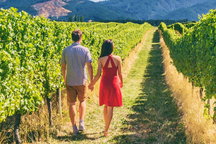 Tourists Couple Walking On Wine Farm Tour